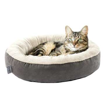 Shop Everything for Your Cat!