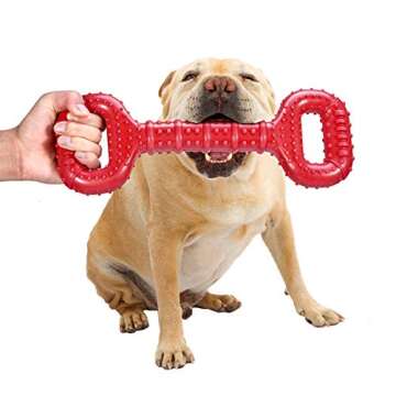 Best Dog Toys for Super Chewers