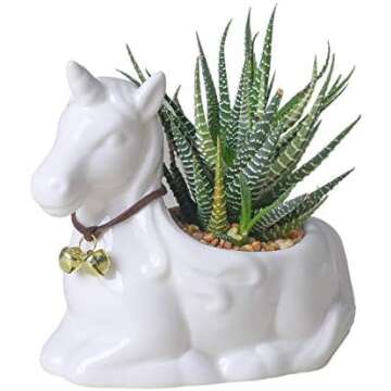 Unicorn Planters