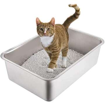 Cat Litter Boxes and Accessories