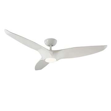 CEILING FANS