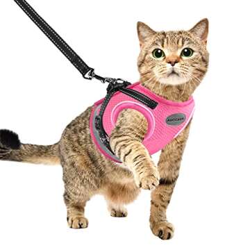 Cat Harness 😻