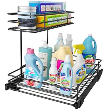 Kitchen Sink Organization