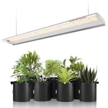 Hydroponics Indoor Gardening