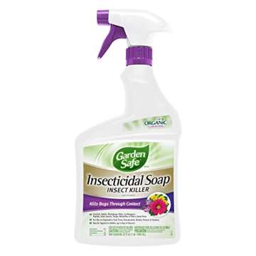 Pest Control - Fungus Gnat