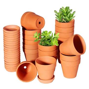 Elegant Planters