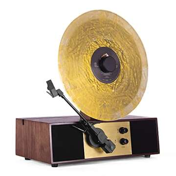 Vertical record player