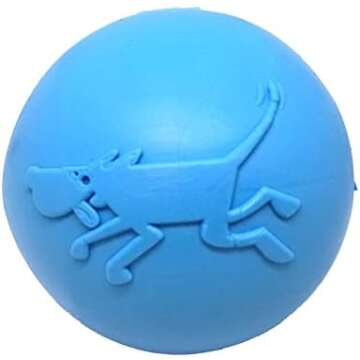 Floating Dog Toys for Water Retrieving