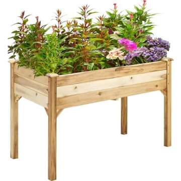 Outdoor Planters, Containers & Hanging Baskets