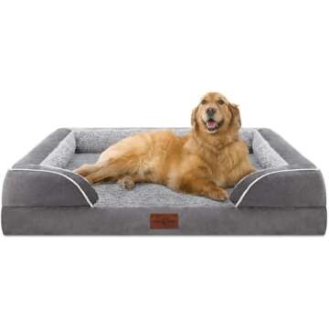 TOP 5 Dog Beds on Amazon for Medium Sized Dogs!