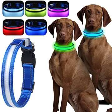 Dog collars, leashes and harnesses for every type of pup