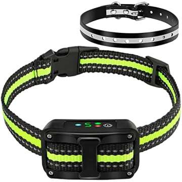 Leashes, harnesses and training collars