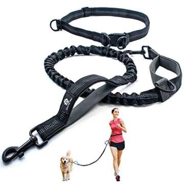 dog leashes