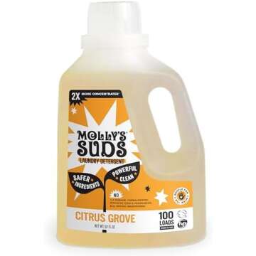 Quality Non-Toxic Cleaning Products Families Need The Most