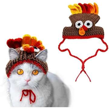 Thanksgiving Pet Hats - Just because!