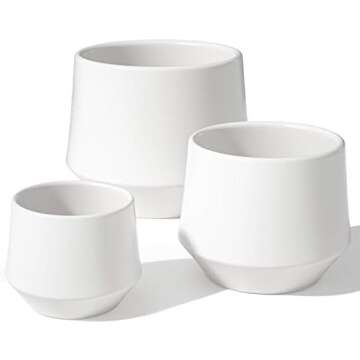 White Decorative Pots