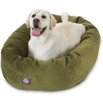 Best Dog Beds