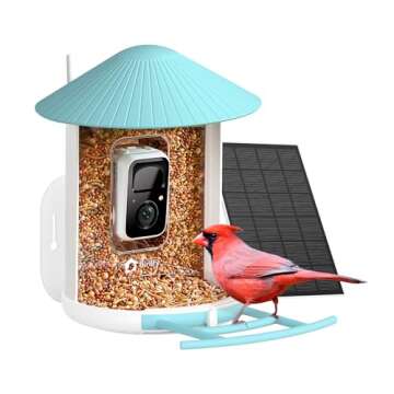 Our Bird Feeders & Cameras