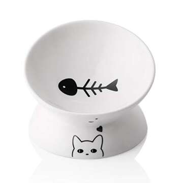 Cat bowls 😻