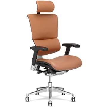 Best office chair for back pain