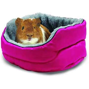 Guinea pig Essentials