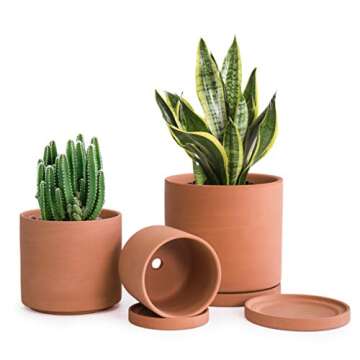 Planters, Vases & Vessels