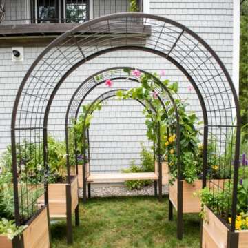 Vegetable Gardening Must Haves