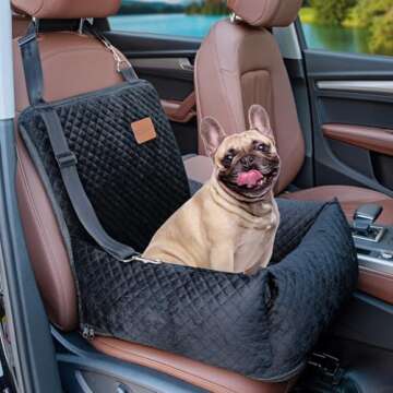 Dog Travel and Car Safety