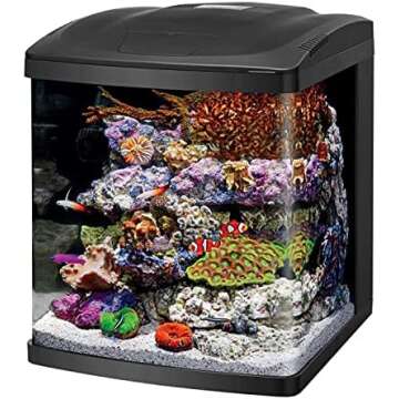 Top Five Beginner Saltwater Tanks