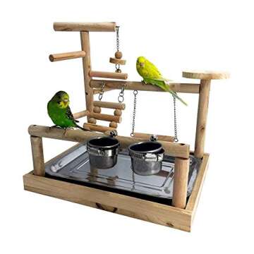 Shop Bird Playgrounds & Stands