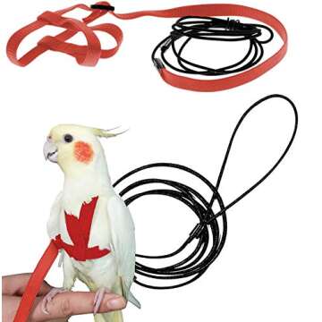 Shop Bird Harnesses