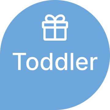 Best Gift Ideas for Toddler Boys