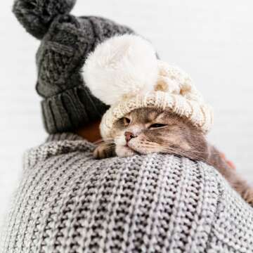 A Cat-tastic Gift Guide: Spoil your Feline Friend and their Human