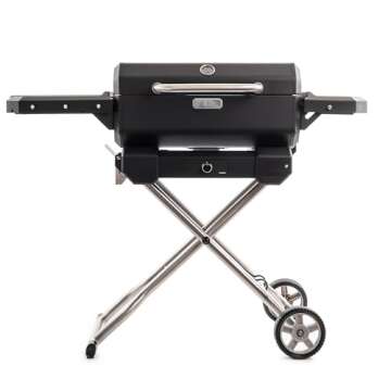 Outdoor Grills for BBQing