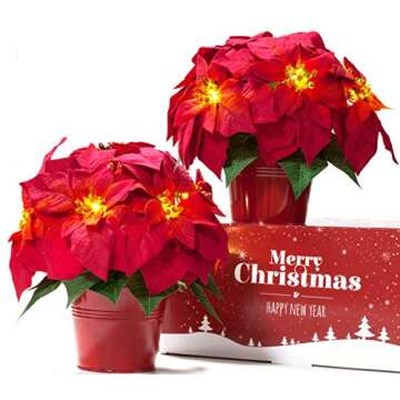 National Poinsettia Day