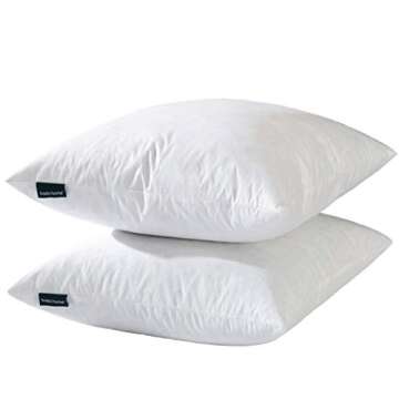 Pillow Inserts