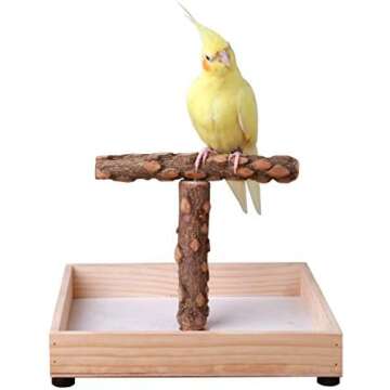 BIRD STANDS