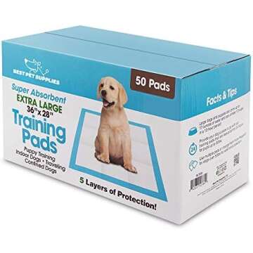 Cleaning Supplies for Pet Owners