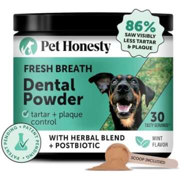 Long Lasting Treats + Dental Health