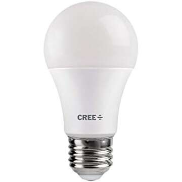 Best LED Bulbs