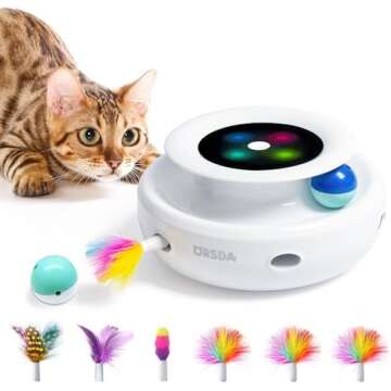 Favorite Cat Toys & Tunnels