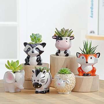 Unique and Fun Planters