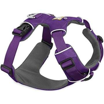 Training Harnesses