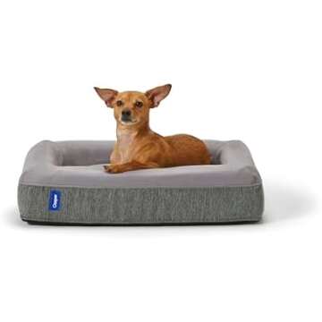 favorite Dog Beds