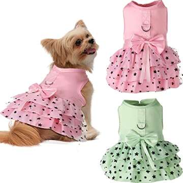 Cute Collars and Outfits for Your Dog