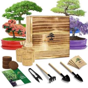 Best Bonsai Tools 2025