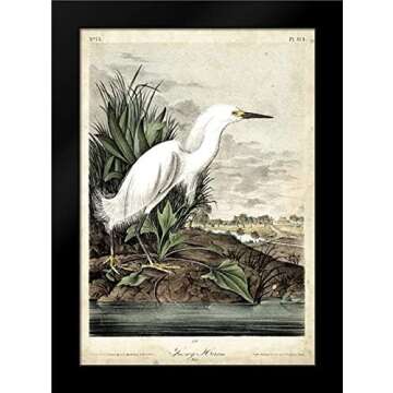 VINTAGE BOTANICAL AND AUDUBON WALL ART