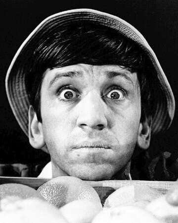 Celebrating Bob Denver: A Legacy of Laughter