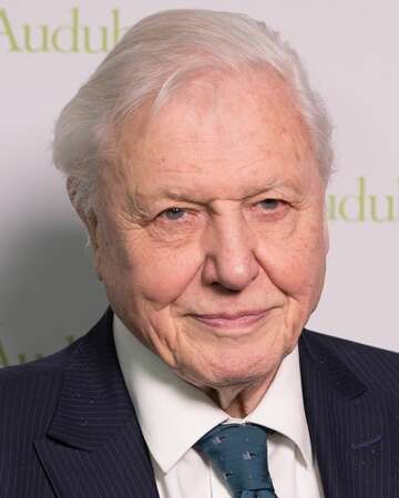 Celebrating David Attenborough's 98th Birthday