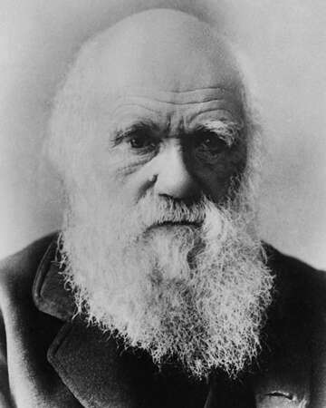 Charles Darwin's Historic Arrival in Tasmania